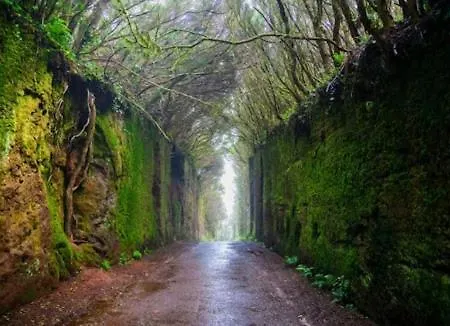 Beachfront Апартаменты Радазул